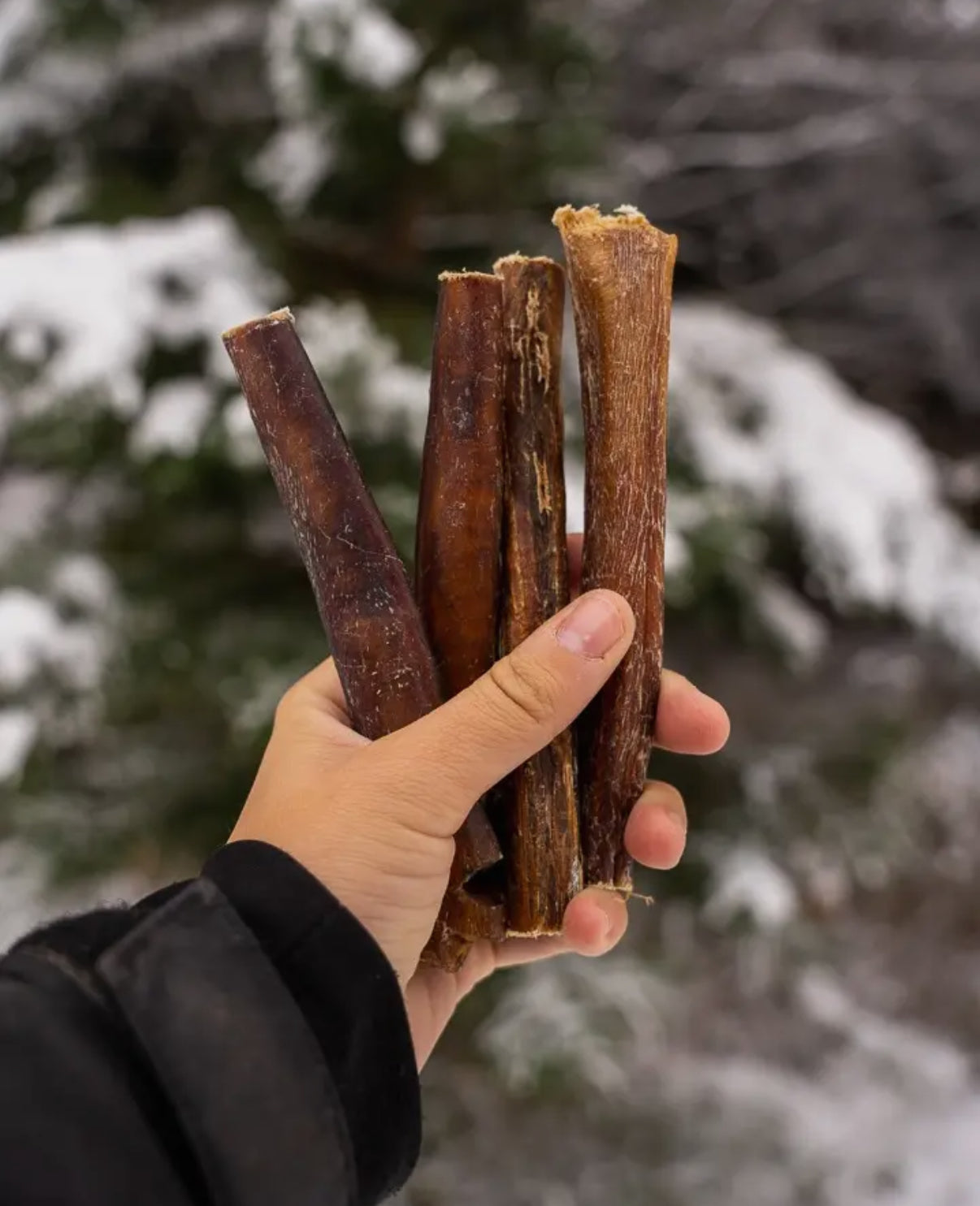 6" Low Odour Bully Sticks - 4 pack