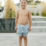 The "Arlo" Trunks