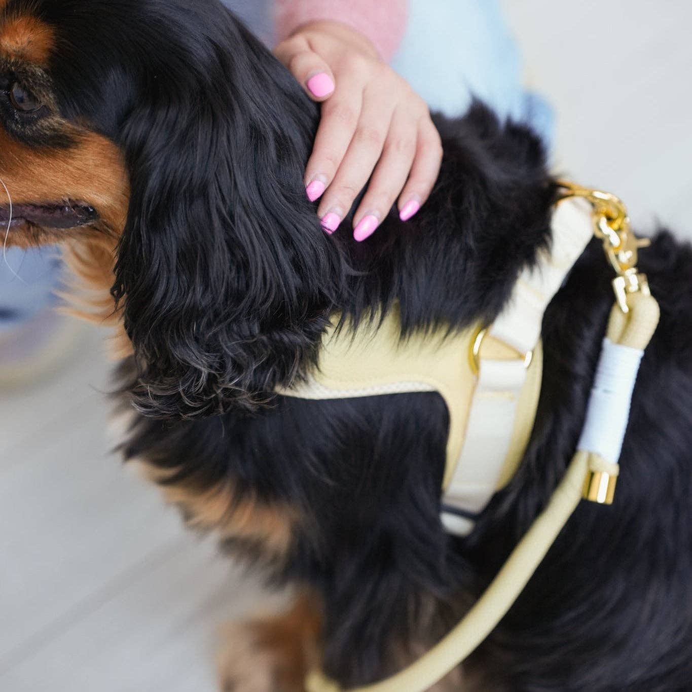 BRAIDED ROPE LEASH - BUTTER YELLOW