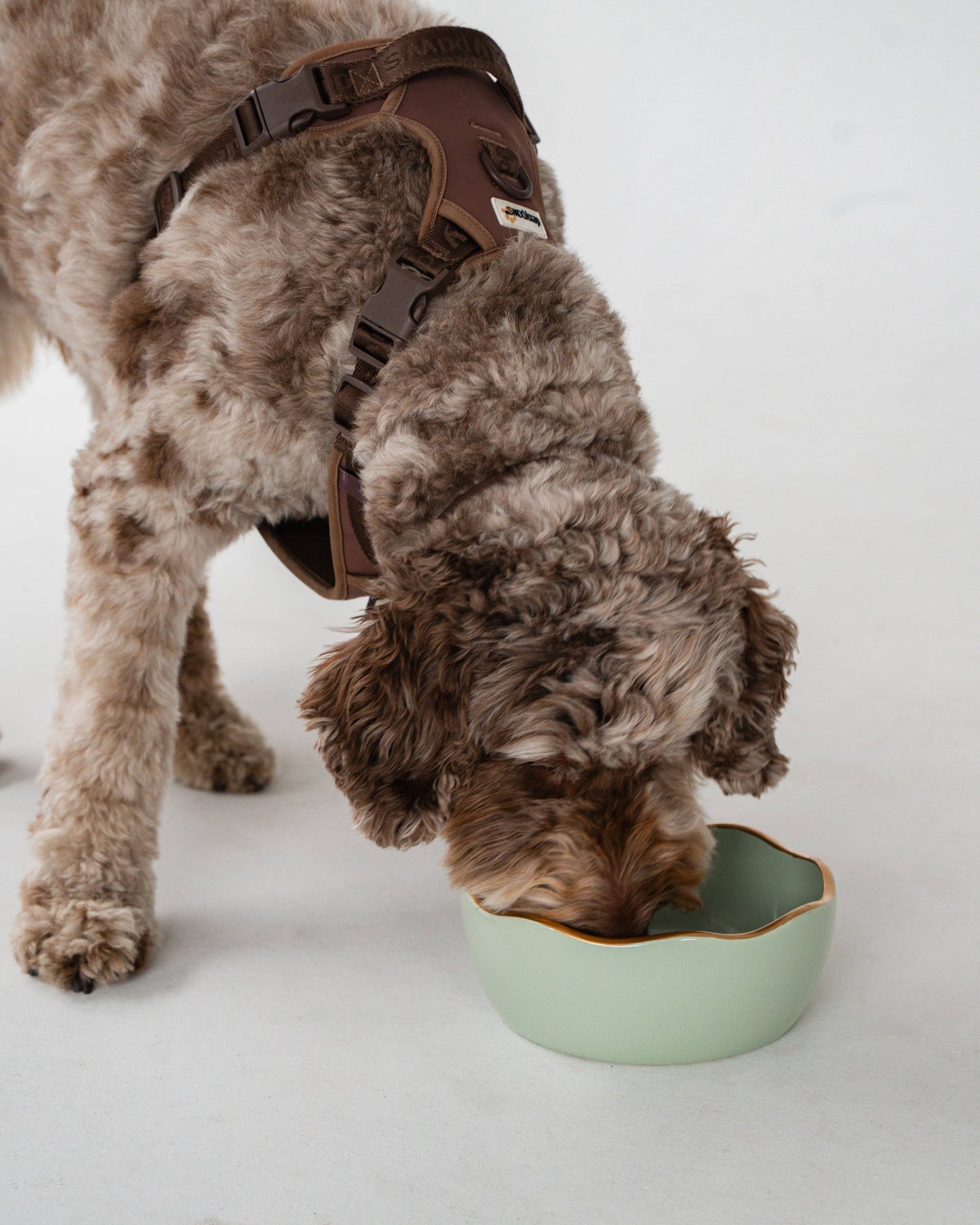 Sage Green Dog Bowl