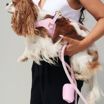 BRAIDED ROPE LEASH - PINK
