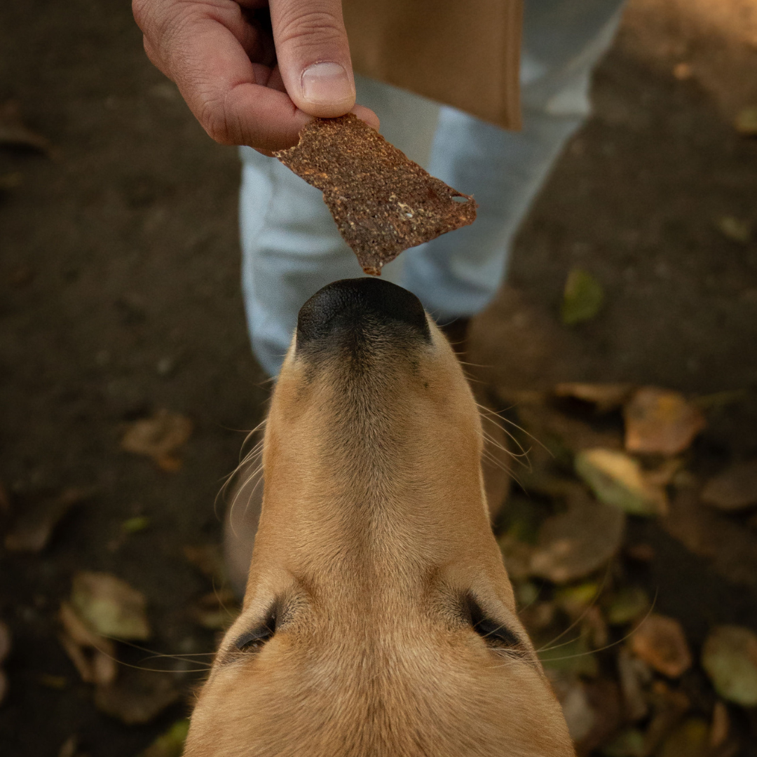 Rawbone Grass Fed Beef Liver Krisps – 65 g