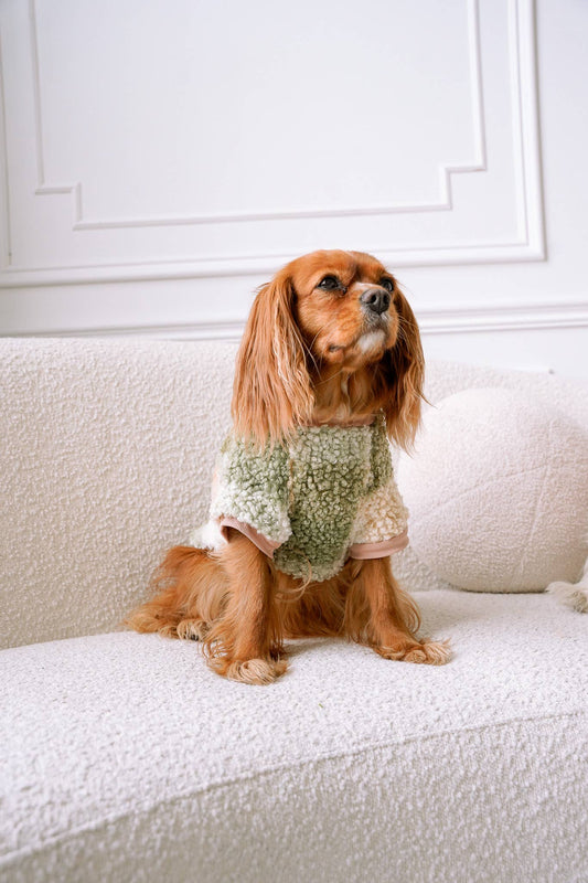 DOG BOUCLÉ SWEATER FLUFFY YARN PLAID: Green / M