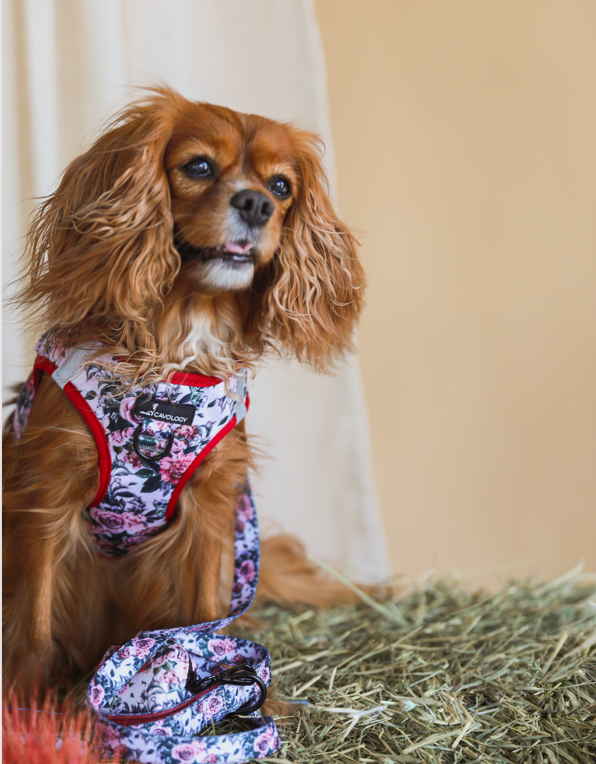 DOG WASTE BAG DISPENSER AUTUMN ROSES