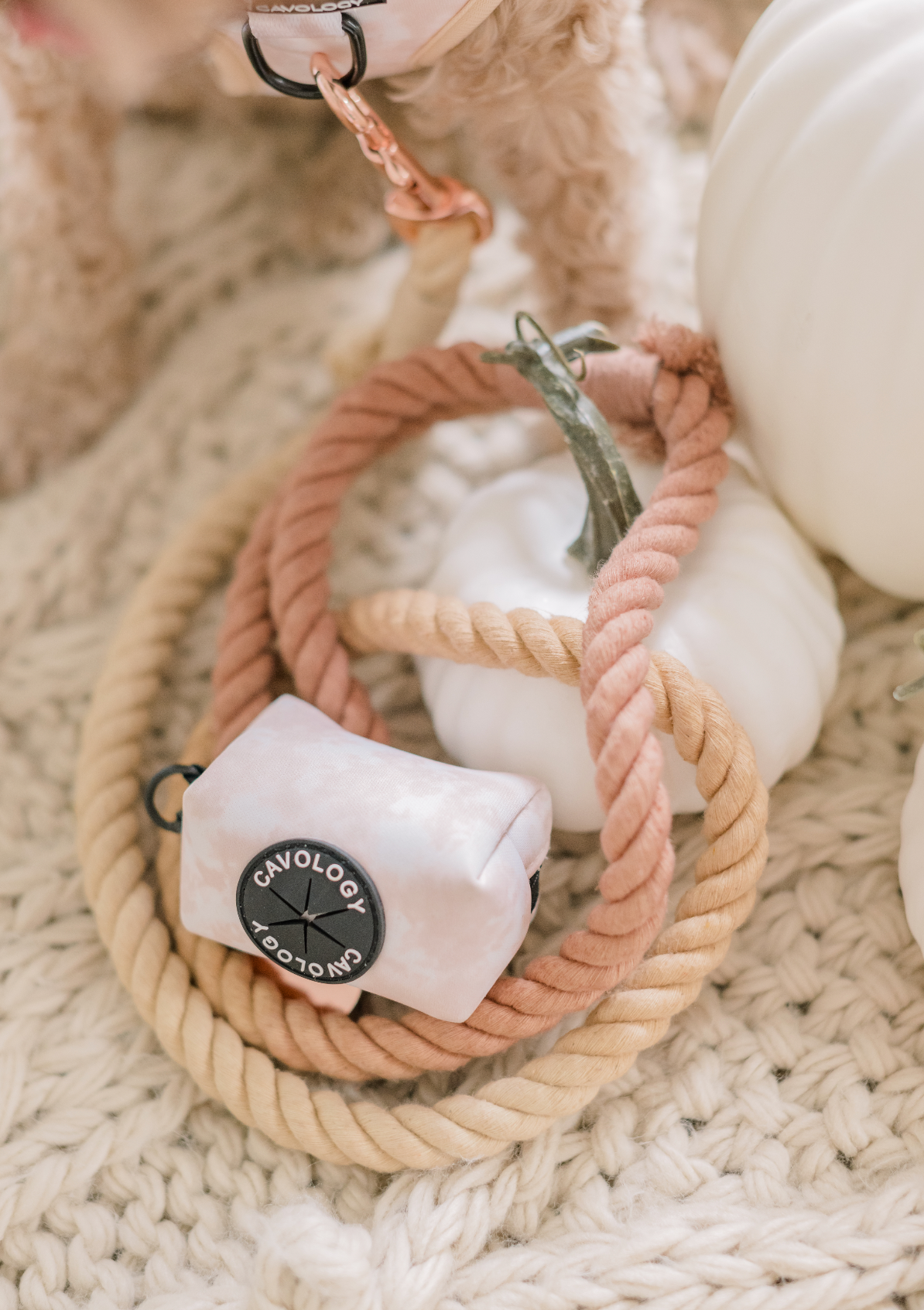 DOG LEASH COTTON ROPE - OMBRE BEIGE CREAM BROWN: 4ft (120cm)