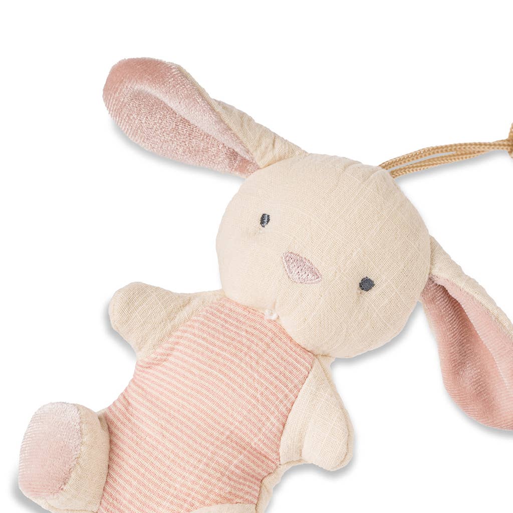 *New Options* Bitzy Pal Natural Rubber Pacifier & Plush: Bunny