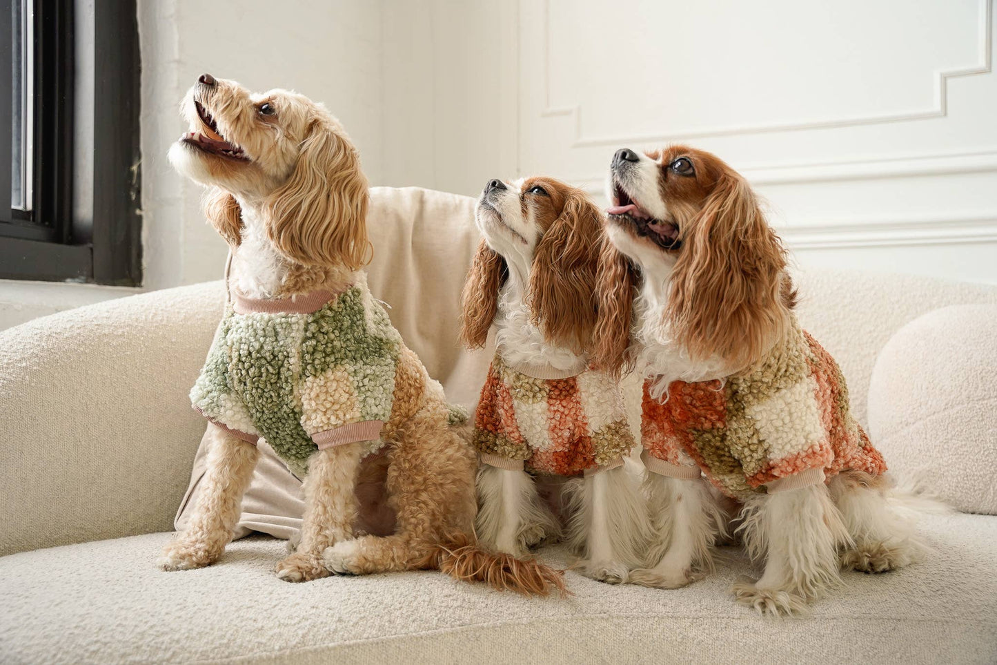 DOG BOUCLÉ SWEATER FLUFFY YARN PLAID: Orange / L