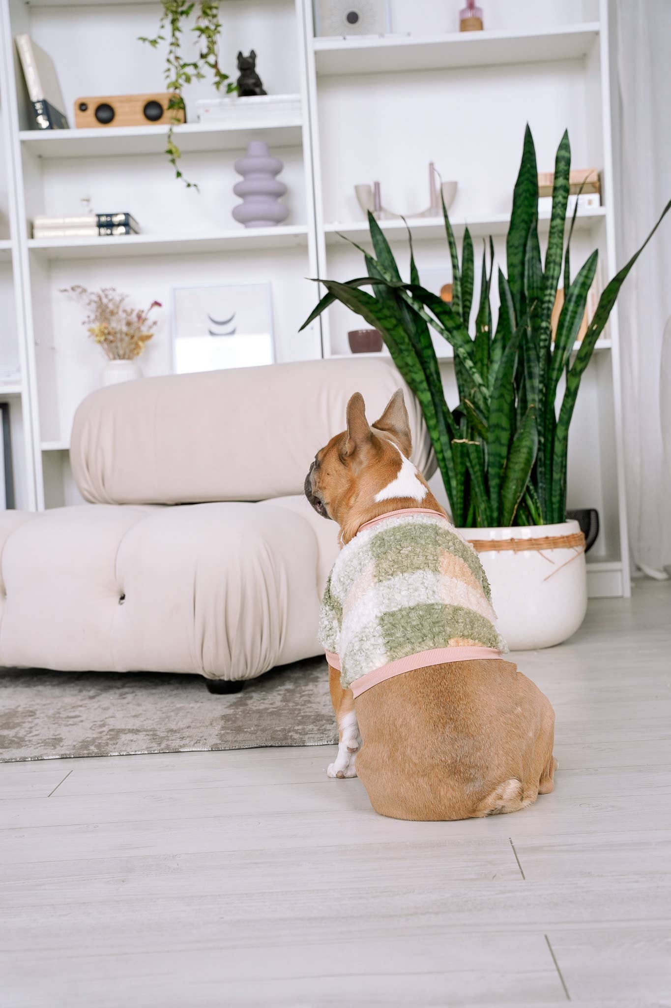 DOG BOUCLÉ SWEATER FLUFFY YARN PLAID: Green / S