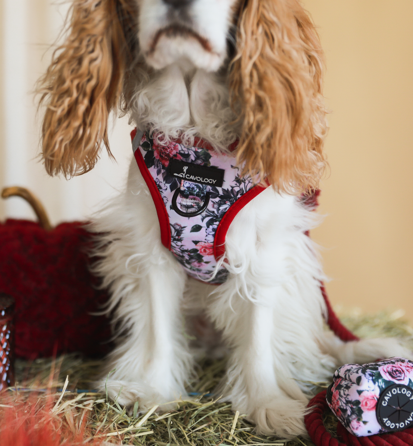 DOG WASTE BAG DISPENSER AUTUMN ROSES
