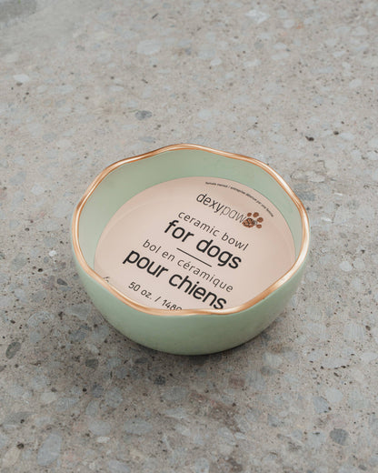 Sage Green Dog Bowl