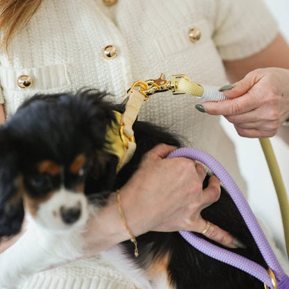 BRAIDED ROPE LEASH - BUTTER YELLOW