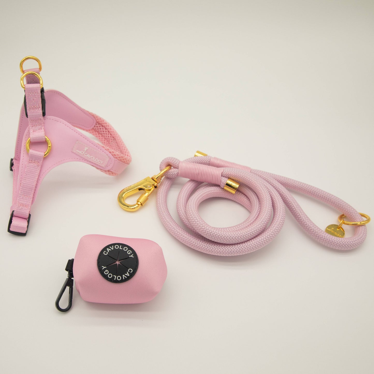 BRAIDED ROPE LEASH - PINK