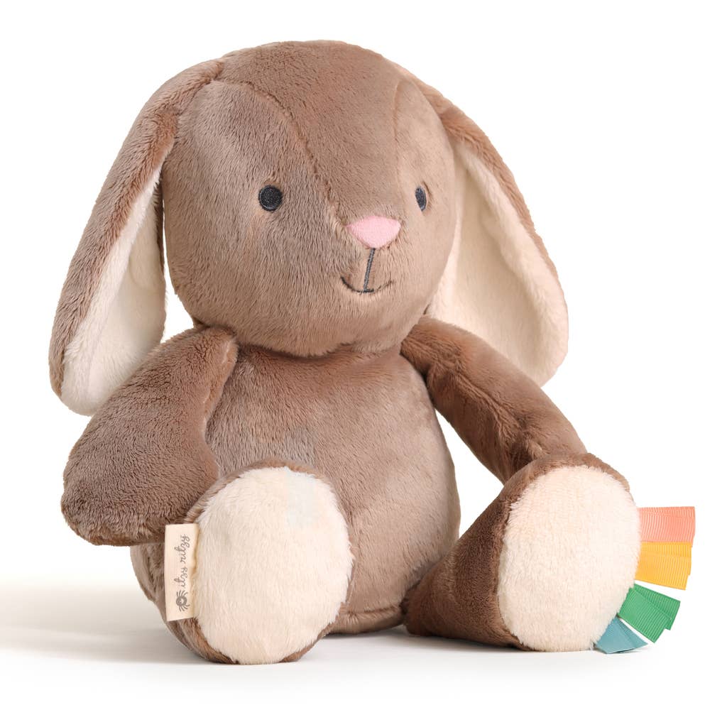 *New* Sweetie Snuggles™ Plush: Pink Bunny