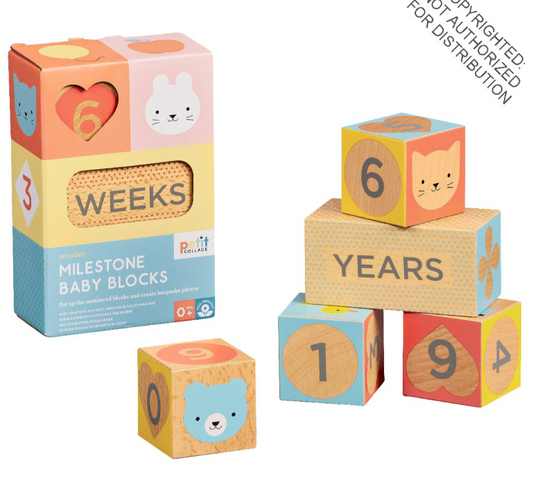 Wooden Milestone Baby Blocks