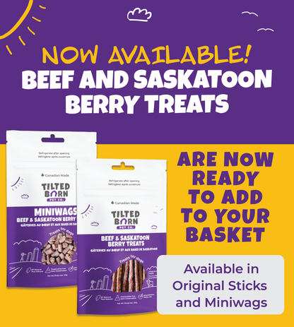 Beef & Saskatoon Berry Treats For Dogs 100g/3.53oz