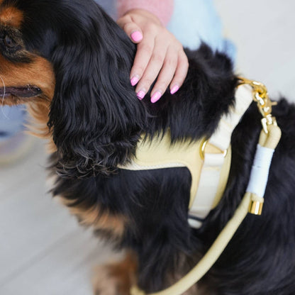 BRAIDED ROPE LEASH - BUTTER YELLOW
