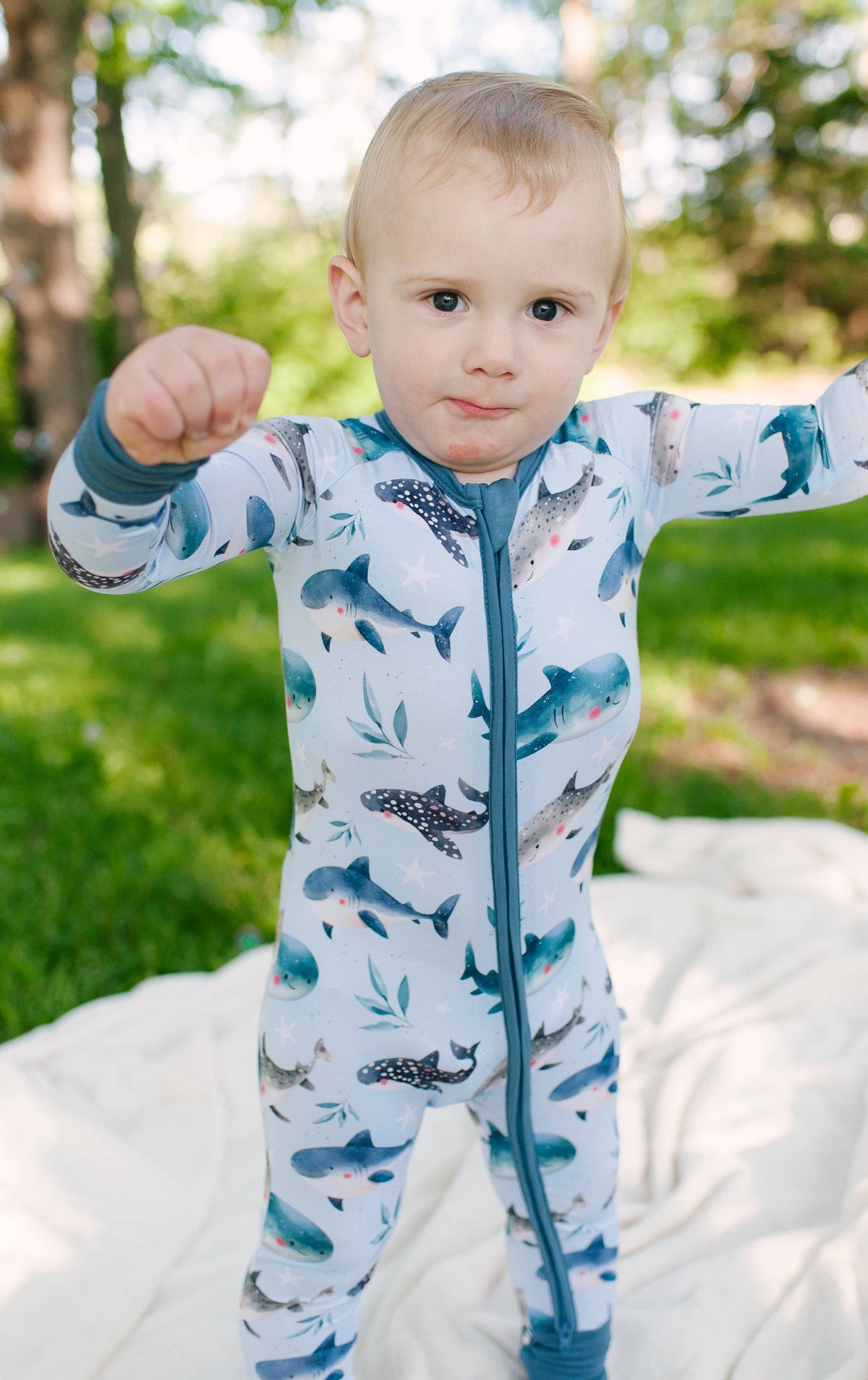 Zippy - Snuggle Sharks: 18-24m