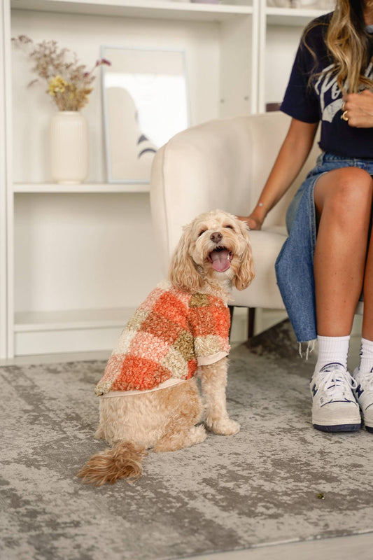 DOG BOUCLÉ SWEATER FLUFFY YARN PLAID: Orange / M