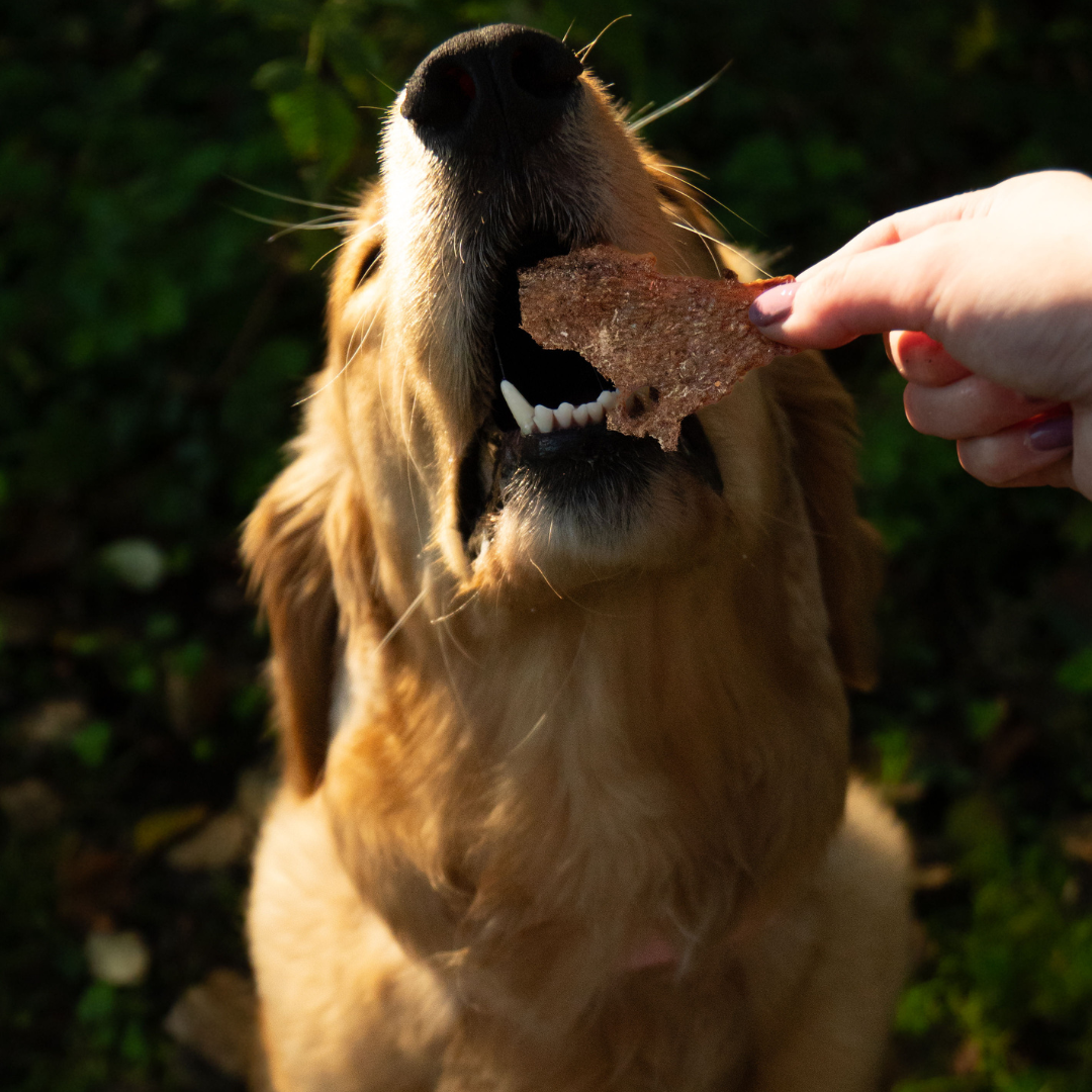 Rawbone Grass Fed Beef Liver Krisps – 65 g