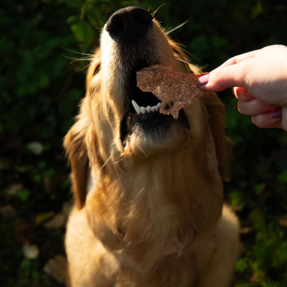 Rawbone Grass Fed Beef Liver Krisps – 65 g